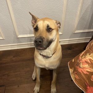 Meet your Posher, Mark